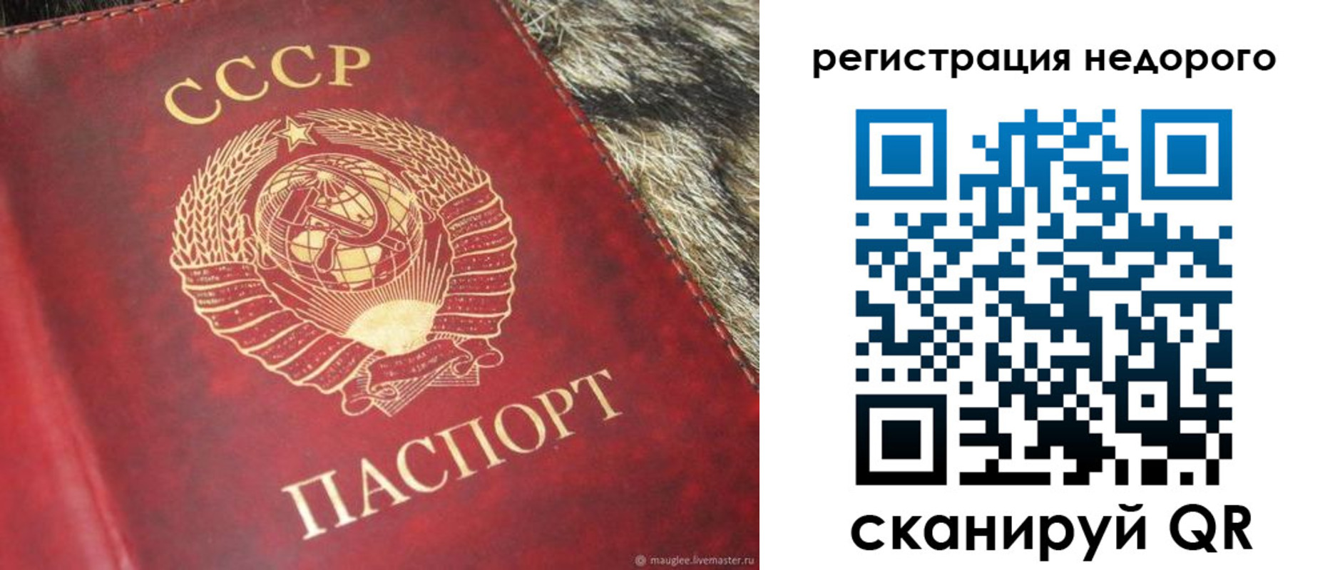 прописка ребенка в Великом Новгороде